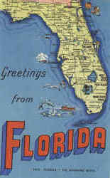 Greetings From Florida Scenic, FL Postcard Postcard