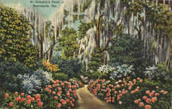 At Grimble's Point Savannah, GA Postcard Postcard