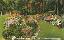 A Pretty Spot In The Eagles Nest Gardens Postcard