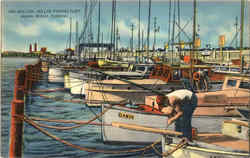 Million Dollar Fishing Fleet Miami Beach, FL Postcard 