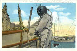 A Sponge Diver About To Descend Tarpon Springs, FL Postcard Postcard