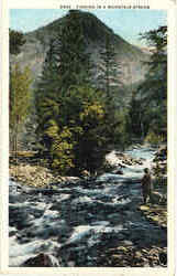 Fishing In Mountain Stream Postcard
