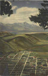 Vista Of Jackson Postcard