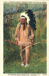 A Primitive Hunter Postcard