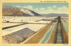 Salt Beds Postcard
