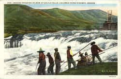Indians Spearing Salmon At Celilo Falls Postcard