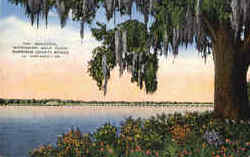 The Beautiful Mississippi Gulf Coast Postcard Postcard