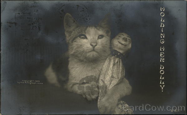 Holding Her Dolly Cats