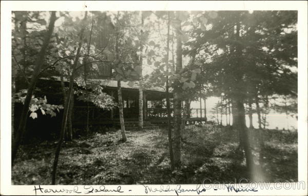 Cabin in Woods Harwood Island Maine