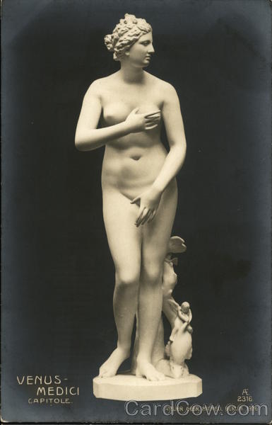 Statue of Venus Sculpture & Carving
