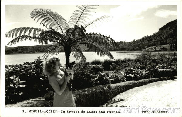 Um Trecho da Lagoa das Furnas S. Miguel-Acores Portugal