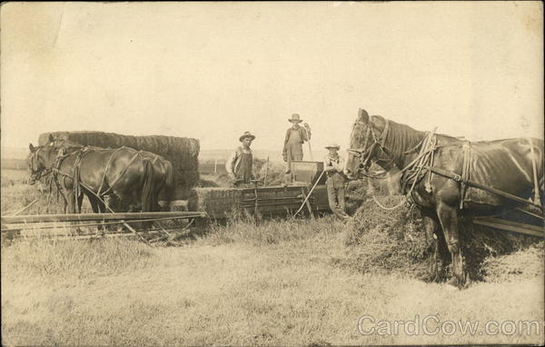 Bringing in the Harvest Farming