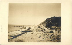 View of Beach Postcard