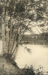 Seven Sisters on Rangeley Lake Maine Postcard Postcard