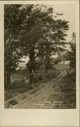 The Drive, The Berkshire Summer School of Art Monterey, MA Postcard Postcard