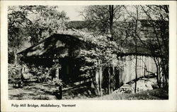 Pulp Mill Bridge Middlebury, VT Postcard Postcard