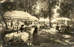 Hotel Borda - Garden Restaurant Postcard