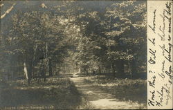 Lower Campus, Looking West Postcard