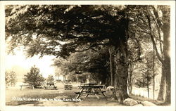 State Highway Park on M46 Caro, MI Postcard Postcard