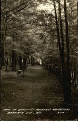 Path in Woods, St. Anthony's Monestery Postcard