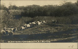 Glen Farm Postcard
