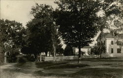 Tree-Lined Street Scene Rockville, RI Postcard Postcard