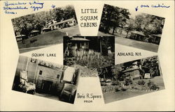 Little Squam Cabins, Squam Lake Ashland, NH Postcard Postcard