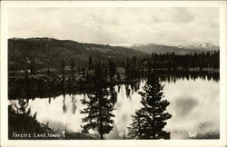 Payette Lake McCall, ID Postcard Postcard