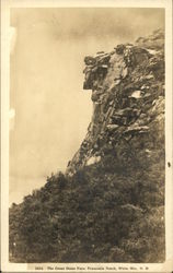 The Great Stone Face, Franconia Notch, White Mts., N.H Postcard