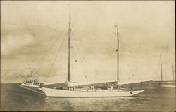 The "Savalo" Sailboats Postcard Postcard