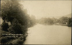 Scene on the Allegheny Irvineton, PA Postcard Postcard