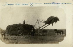 Bringing In the Hay Postcard