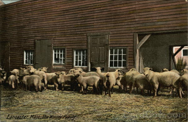 The Wooley Family Lancaster Massachusetts