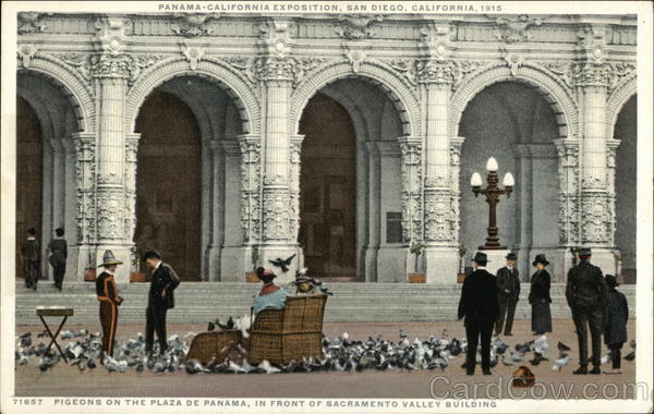 Pigeons on the Plaza de Panama San Diego California
