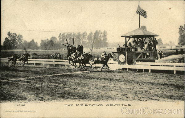 The Meadows Seattle Washington