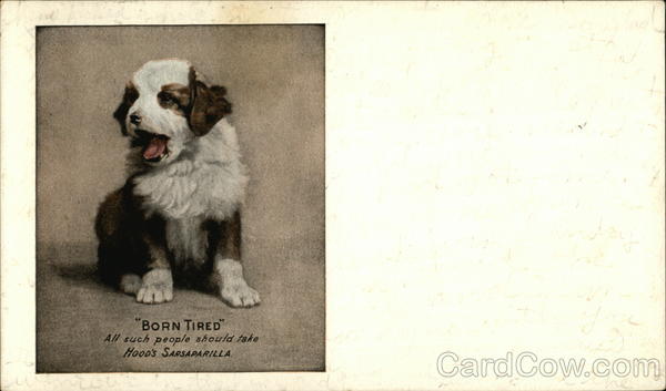 Born Tired - Small Yawning Puppy Dogs