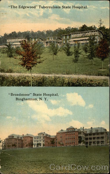 Views of Binghamton Hospitals New York