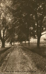 One of the Entrance Lanes at Fordhook Doylestown, PA Postcard Postcard