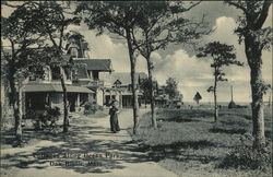 Cottages Along Ocean Park Oak Bluffs, MA Postcard Postcard