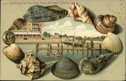 Catching Fish for Past Time Postcard