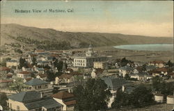 Birdseye View of Martinez Postcard
