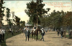 Saratoga Race Course Postcard