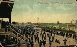 Windsor Race Track Postcard