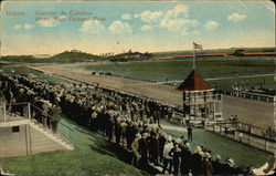 Horse Race Oriental Park Postcard
