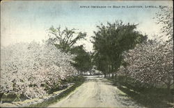 Apple Orchards on Road to Lakeview Postcard