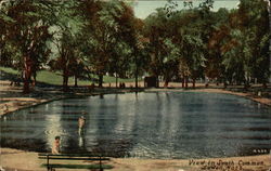 View in South Common Postcard