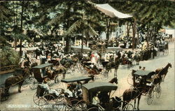 Riding Carriages in Ross Park Postcard