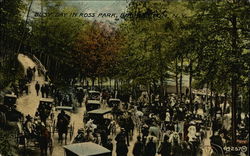 Busy Day in Ross Park Postcard