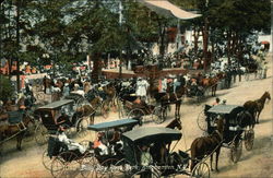 Busy Day At Ross Park Postcard