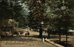View in Ross Park Postcard